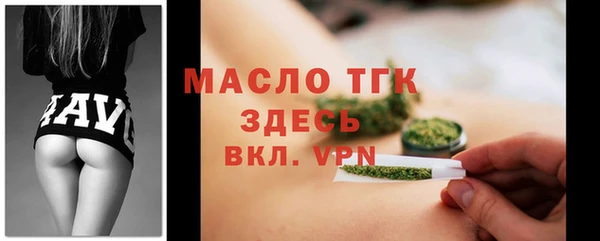 амф Гусев